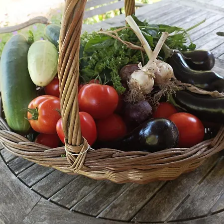 Maison D'hotes, Calme Et Piscine Habas
