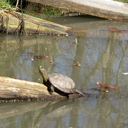 Maison D'hotes, Calme Et Piscine בית הארחה