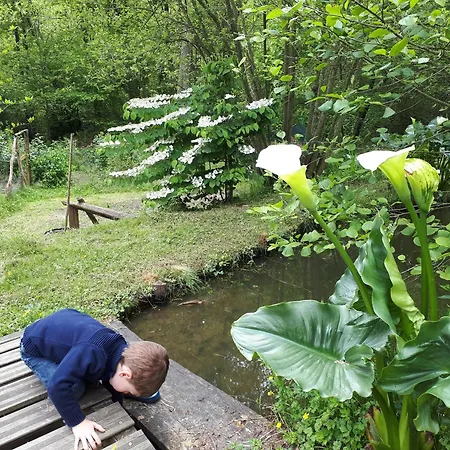 בית הארחה Maison D'hotes, Calme Et Piscine 3*