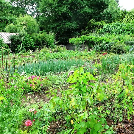 בית הארחה Maison D'hotes, Calme Et Piscine Habas