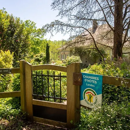 Maison D'hotes, Calme Et Piscine 3* Habas