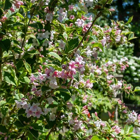 Maison D'hotes, Calme Et Piscine 3*