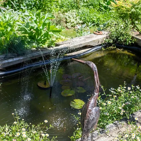 בית הארחה Maison D'hotes, Calme Et Piscine Habas