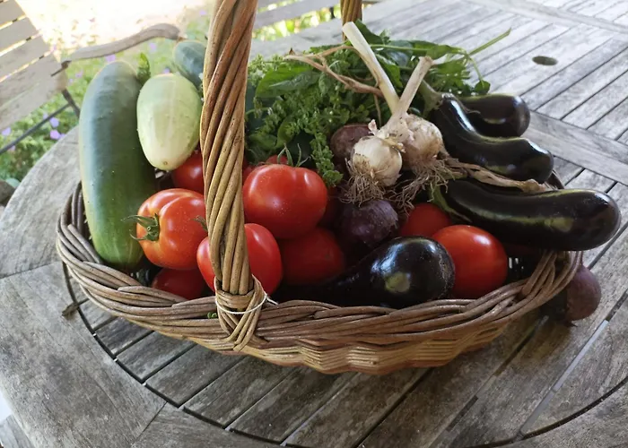 Maison D'hotes, Calme Et Piscine Habas