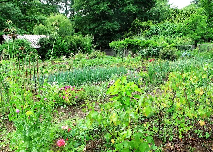 Pensión Maison D'hotes, Calme Et Piscine Habas