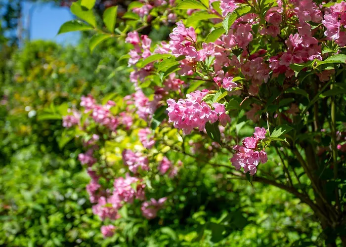 Maison D'hotes, Calme Et Piscine Pensión 3*