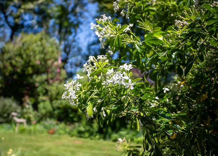 Maison D'hotes, Calme Et Piscine Pensión Habas