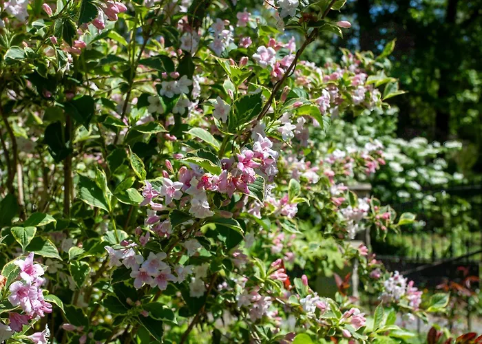 Maison D'hotes, Calme Et Piscine 3*