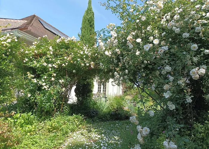Pensión Maison D'hotes, Calme Et Piscine Habas